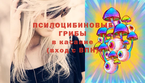 гидра Болхов