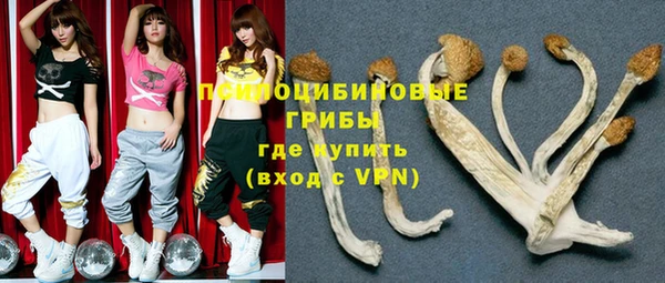 гидропоника Осинники