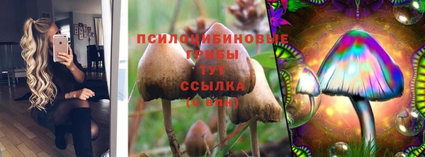 гидропоника Осинники