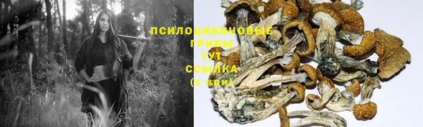 гидропоника Осинники