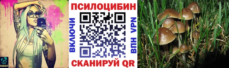 Галлюциногенные грибы мицелий  Пойковский 